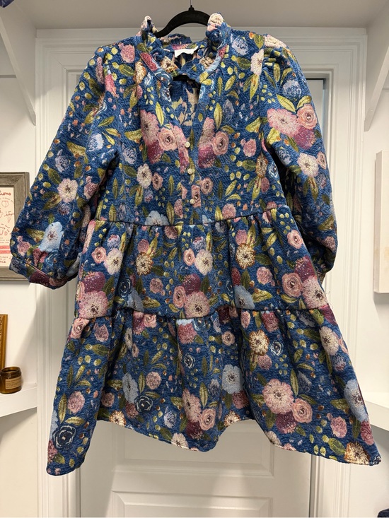 Shop The Mint Dresses & Skirts - Floral Tiered Long-Sleeve Dress in Blue and Pink